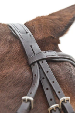 Horze Prescott Mexikanische Trense -Reitsportprodukte Geschäft 10012 BR 05