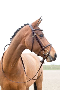 Horze Constance Weich Unterlegte Trense -Reitsportprodukte Geschäft 10040 LBR 02
