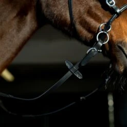 Horze Gebisslose Trense -Reitsportprodukte Geschäft 10081 BL 6