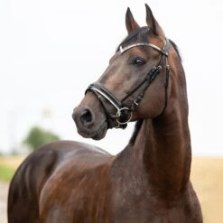 Horze Grayson Anatomische Trense -Reitsportprodukte Geschäft 10084 BL 1