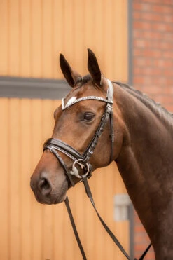 Horze Grayson Anatomische Trense -Reitsportprodukte Geschäft 10084 BL WH 4