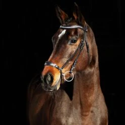 Horze Bergen Remont Trense 11 Horze Bergen Remont Trense -Reitsportprodukte Geschäft 10109 BR 1