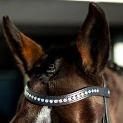 Horze Bergen Remont Trense 12 Horze Bergen Remont Trense -Reitsportprodukte Geschäft 10109 BR 2