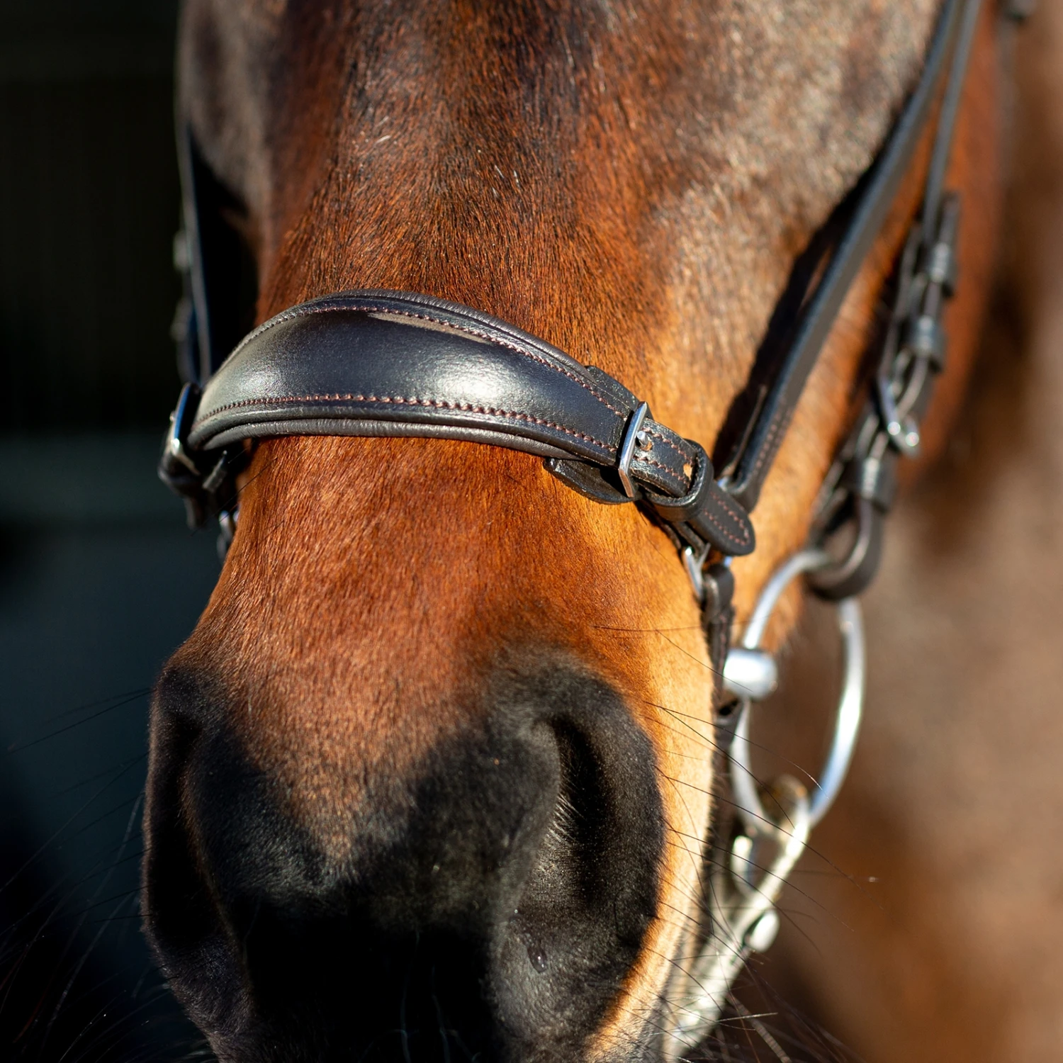 Horze Bergen Remont Trense 7 Horze Bergen Remont Trense – Bild 5