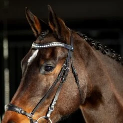 Horze Bergen Remont Trense 14 Horze Bergen Remont Trense -Reitsportprodukte Geschäft 10109 BR 4