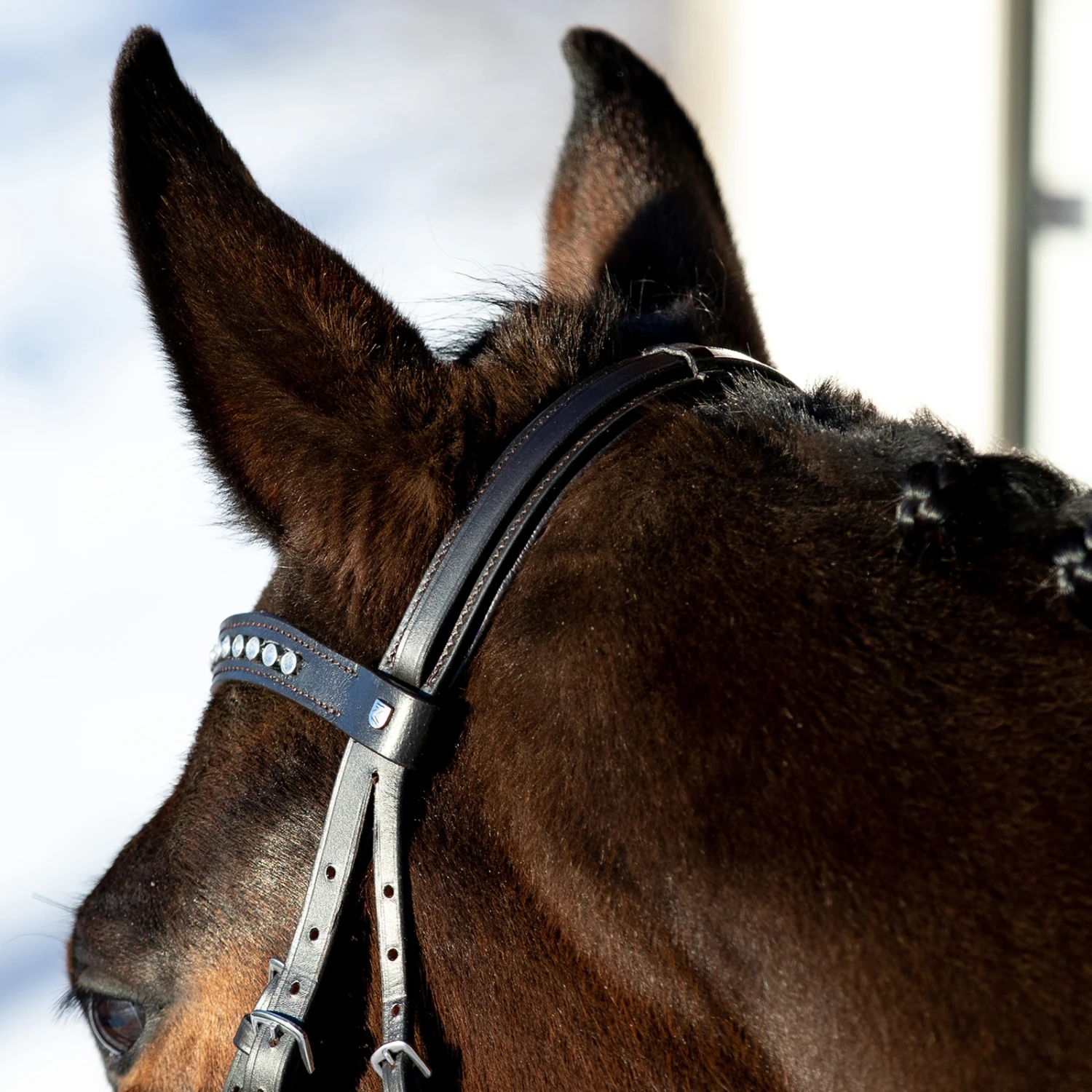 Horze Bergen Remont Trense 9 Horze Bergen Remont Trense – Bild 7