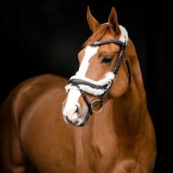 Horze Rome Anatomische Trense -Reitsportprodukte Geschäft 10118 DBR 3