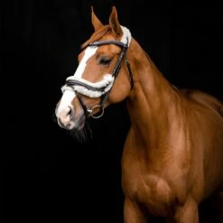 Horze Rome Anatomische Trense -Reitsportprodukte Geschäft 10118 DBR 4