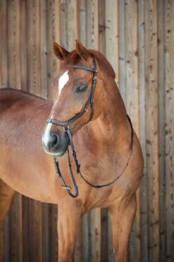 Horze Orlando Anatomische Kombinierte Gebisslose Trense -Reitsportprodukte Geschäft 10125 BR 5