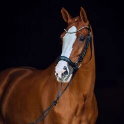 Horze Positano Anatomische Hannoveranische Trense -Reitsportprodukte Geschäft 10126 BL 2