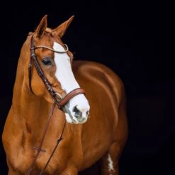 Horze Positano Anatomische Hannoveranische Trense -Reitsportprodukte Geschäft 10126 BR 2