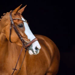 Horze Positano Anatomische Hannoveranische Trense -Reitsportprodukte Geschäft 10126 BR 3