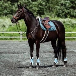 Horze Positano Anatomische Hannoveranische Trense -Reitsportprodukte Geschäft 10126 BR 4