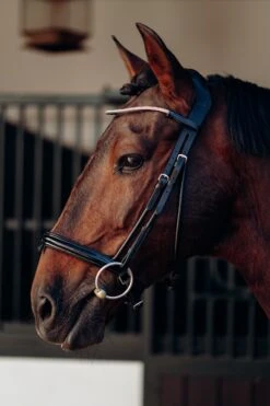 Horze Munich Stirnriemen Mit Strasssteinen 13 Horze Munich Stirnriemen Mit Strasssteinen -Reitsportprodukte Geschäft 10162 rtpi 02