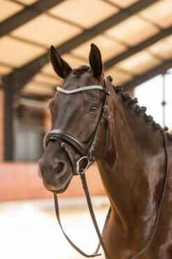 Horze Columbia Stirnriemen Mit Kristallen -Reitsportprodukte Geschäft 10169 BL DB 4