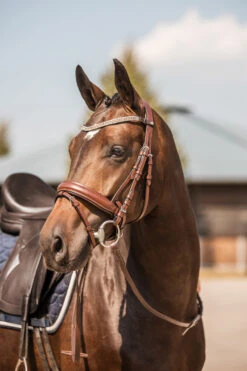 Horze Columbia Stirnriemen Mit Kristallen -Reitsportprodukte Geschäft 10169 BR GO 4