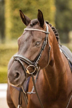 Horze Nancy Stirnriemen Mit Kristallen Und Flechtdetail -Reitsportprodukte Geschäft 10170 bl rgo 05