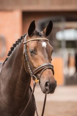 Horze Nancy Stirnriemen Mit Kristallen Und Flechtdetail -Reitsportprodukte Geschäft 10170 br rgo 04