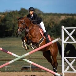 Horze Atlanta Stollenschutz-Sattelgurt Mit Fleecefutter 10 Horze Atlanta Stollenschutz-Sattelgurt Mit Fleecefutter -Reitsportprodukte Geschäft 14677 DBR 3