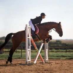 Horze Atlanta Stollenschutz-Sattelgurt Mit Fleecefutter 11 Horze Atlanta Stollenschutz-Sattelgurt Mit Fleecefutter -Reitsportprodukte Geschäft 14677 DBR 4