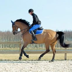 Horze Chooze Vielseitigkeitsschabracke 26 Horze Chooze Vielseitigkeitsschabracke -Reitsportprodukte Geschäft 17000 LLB 2