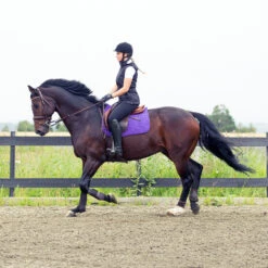 Horze River Vielseitigkeitsschabracke 27 Horze River Vielseitigkeitsschabracke -Reitsportprodukte Geschäft 17014 PU PU 2