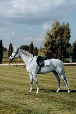 Horze Kühlende Vielseitigkeitsschabracke -Reitsportprodukte Geschäft 17307 PBG 3
