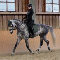 Horze Adepto Vielseitigkeitsschabracke -Reitsportprodukte Geschäft 17343 BKGR 7