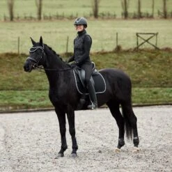 Horze Adepto Vielseitigkeitsschabracke -Reitsportprodukte Geschäft 17343 BL 5