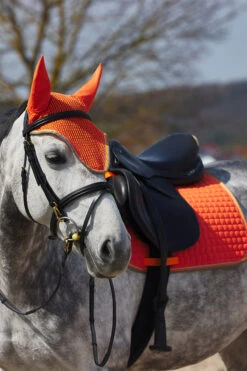 Horze Adepto Vielseitigkeitsschabracke -Reitsportprodukte Geschäft 17343 cgo 04