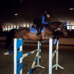 Horze Glarus Dressurschabracke Mit Metallischem Flechtdetail -Reitsportprodukte Geschäft 17397 MLNB 3