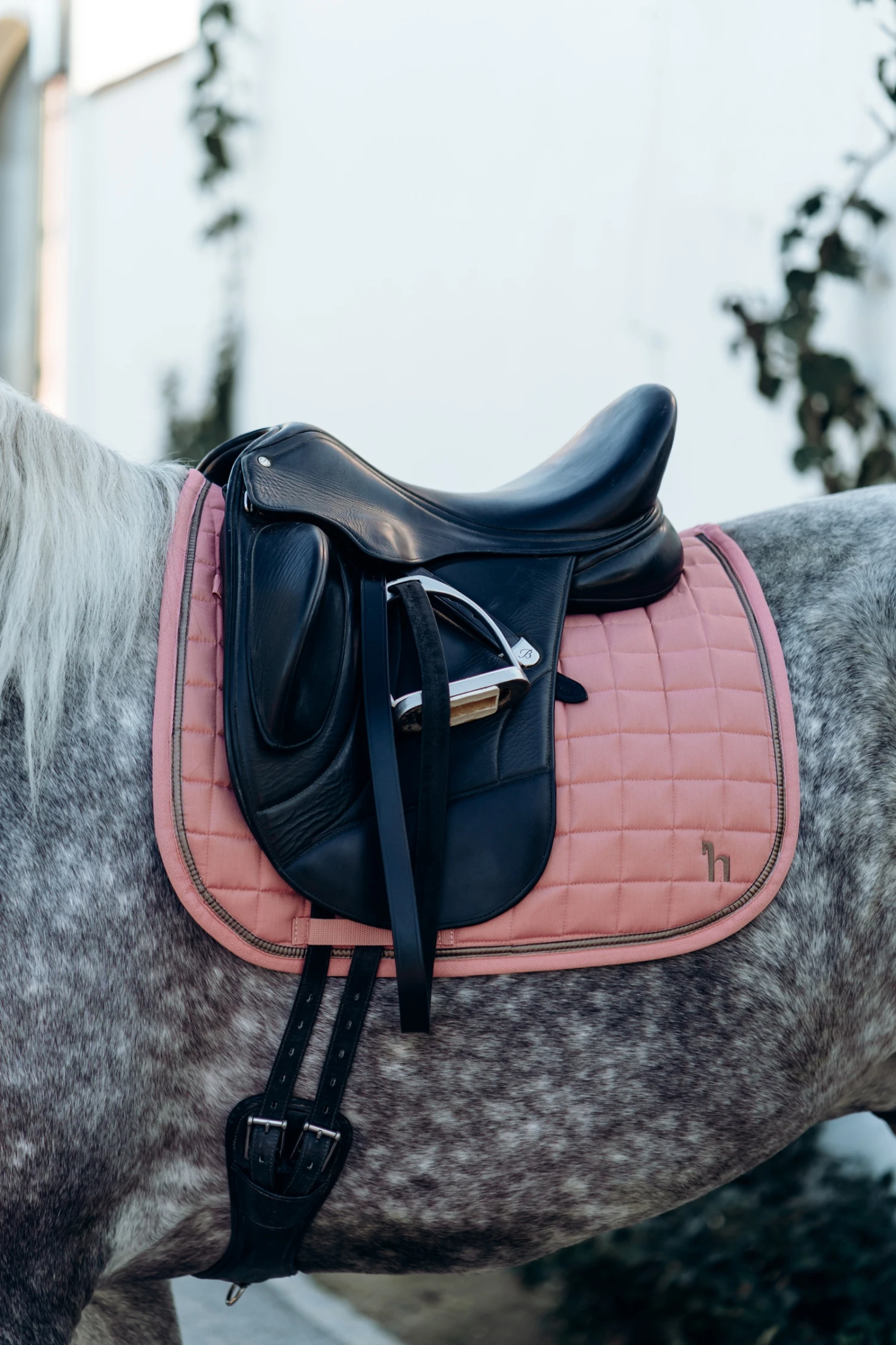 Horze Munich Dressurschabracke Mit Metall-Detail 17 Horze Munich Dressurschabracke Mit Metall-Detail – Bild 15