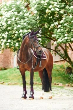 Horze Monster Pony Schabracke Mit Bestickung -Reitsportprodukte Geschäft 17422 FPU 5