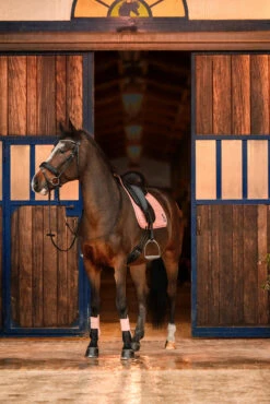 Horze Trixi Pony Vielseitigkeitsschabracke -Reitsportprodukte Geschäft 17441 333 05