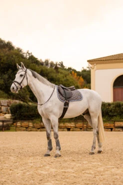 Horze Navajo Vielseitigkeitsschabracke -Reitsportprodukte Geschäft 17442 060 07