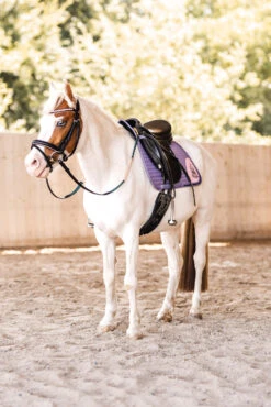 Horze Magic Carousel Vielseitigkeitsschabracke Für Ponys 13 Horze Magic Carousel Vielseitigkeitsschabracke Für Ponys -Reitsportprodukte Geschäft 17461 433 06