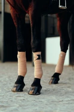 B Vertigo Laurel Fleecebandagen -Reitsportprodukte Geschäft 18280 TEBR 2