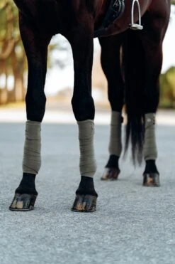 B Vertigo Laurel Fleecebandagen -Reitsportprodukte Geschäft 18280 WGGR 2