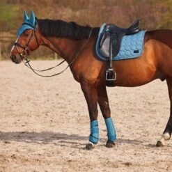 Horze Marquess Neopren-Gamaschen -Reitsportprodukte Geschäft 19204 AGNB 7