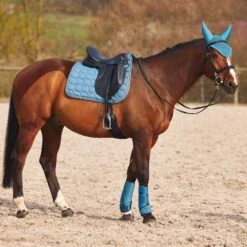 Horze Marquess Neopren-Gamaschen -Reitsportprodukte Geschäft 19204 AGNB 9