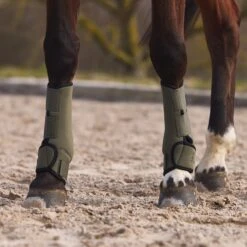 Horze Marquess Neopren-Gamaschen -Reitsportprodukte Geschäft 19204 BOGR 6