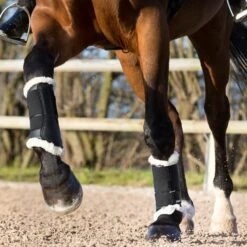 Horze Signature Gamaschen -Reitsportprodukte Geschäft 19212 BL 2