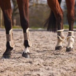 Horze Windsor Streichkappen Mit Kunstfellfutter 36 Horze Windsor Streichkappen Mit Kunstfellfutter -Reitsportprodukte Geschäft 19262 LBR 5