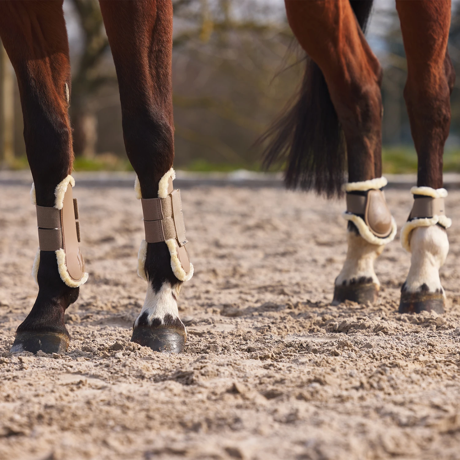 Horze Windsor Streichkappen Mit Kunstfellfutter 17 Horze Windsor Streichkappen Mit Kunstfellfutter – Bild 15