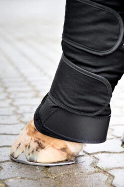 Horze Transportgamaschen 9 Horze Transportgamaschen -Reitsportprodukte Geschäft 19506 bl 04