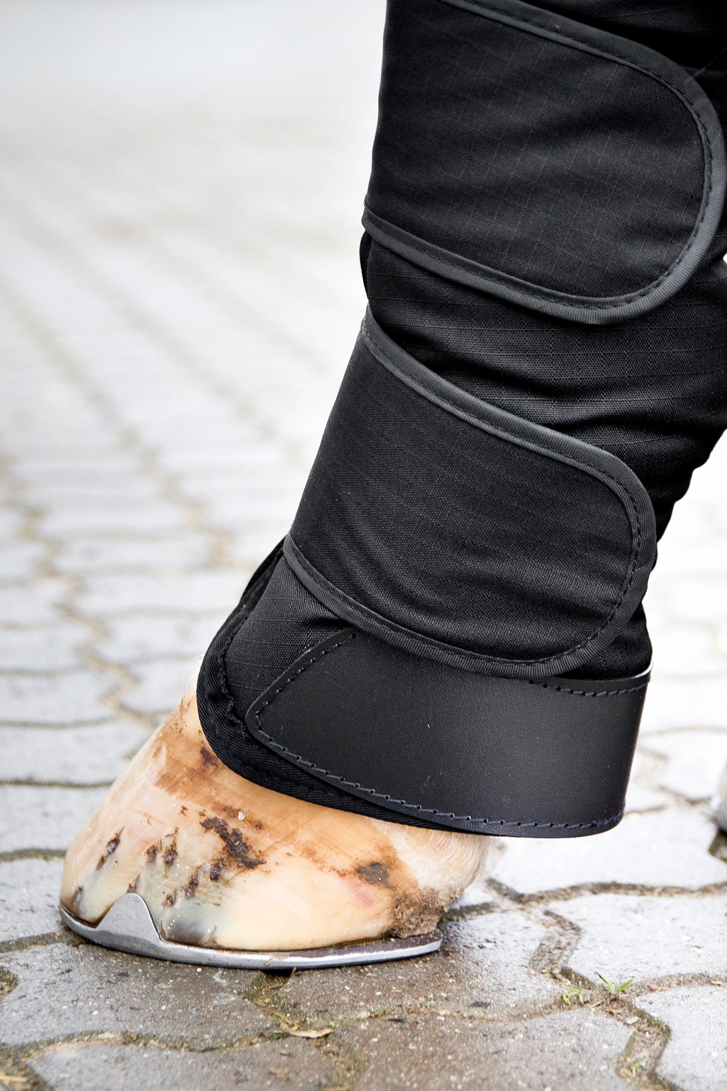 Horze Transportgamaschen 6 Horze Transportgamaschen – Bild 4