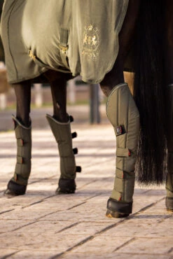 B Vertigo Wellington Transportgamaschen (4er Set) -Reitsportprodukte Geschäft 19528 630 06