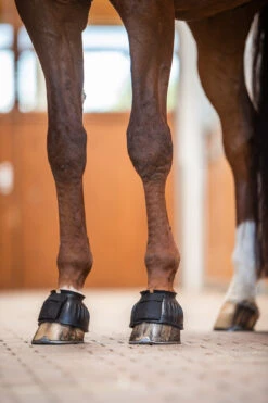 Horze Hufglocken Mit Verdrehsicherung 11 Horze Hufglocken Mit Verdrehsicherung -Reitsportprodukte Geschäft 19701 BL 4