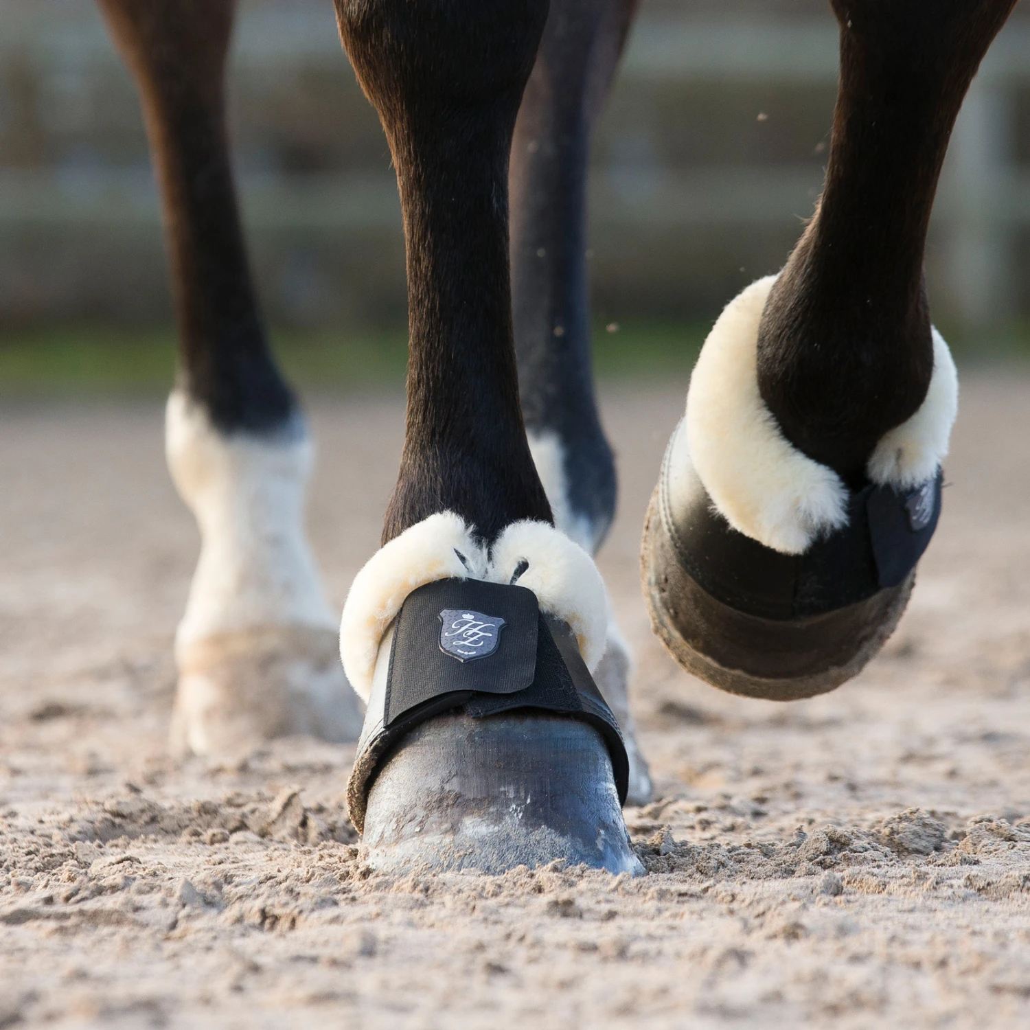 Horze Salerno Hufglocken 6 Horze Salerno Hufglocken – Bild 4