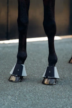 Horze Munich Hufglocken -Reitsportprodukte Geschäft 19782 ALG 2